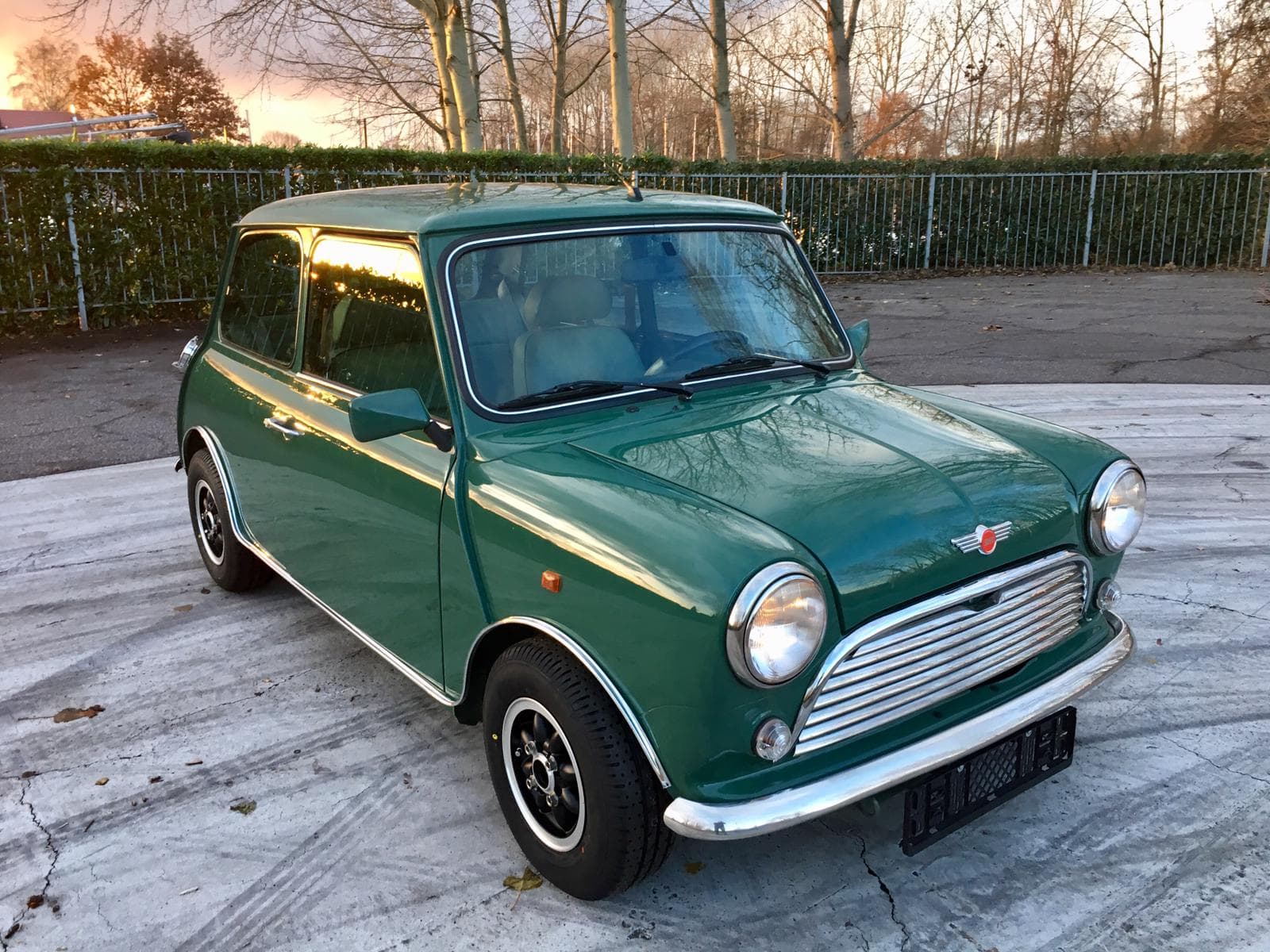 Mini